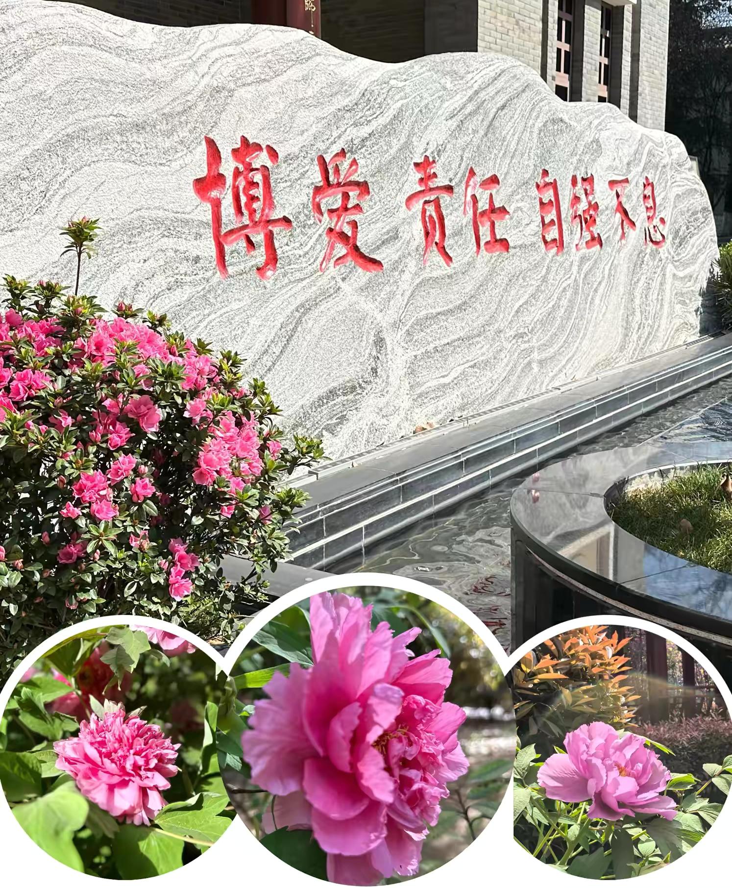 ̽俼ؼͬW(xu)δ(li)