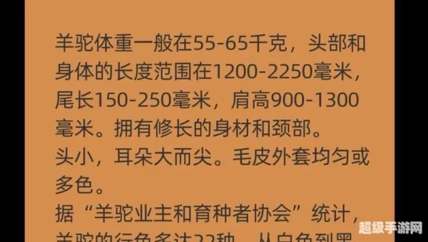 羊驼是羊还是驼?