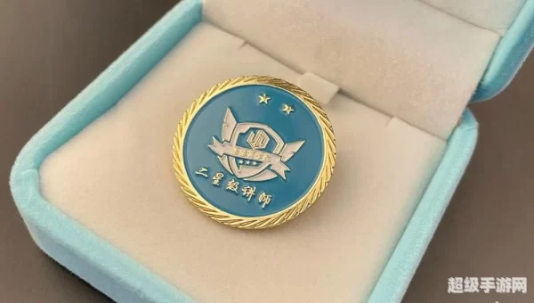 怎样镶嵌徽章