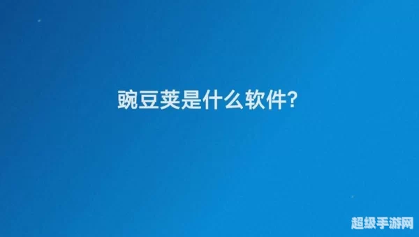 豌豆荚软件